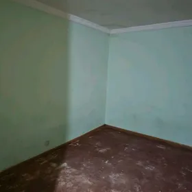 Аренда 1 комн arenda сдаю