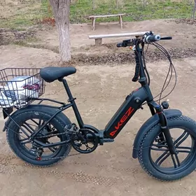 tokly welik yignalyan gornusi