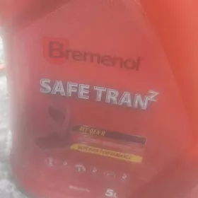 сиенна матор двигител 3 лик