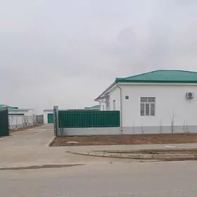 Nurly zaman Bagtyyar yaslar 7