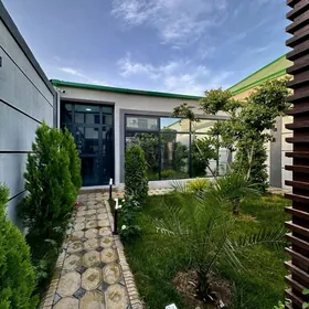 Satlyk Coganly Kotež! 5Kom