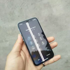 iphone  13 pro x den owurlen