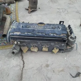 дайево Нубира галовка