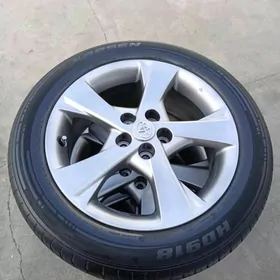 Orginal karolo disga 16