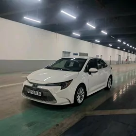 Toyota Corolla 2021