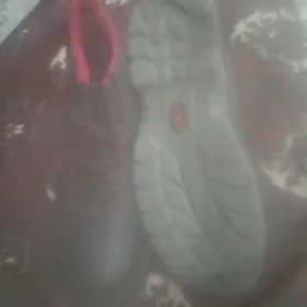 патинка бота