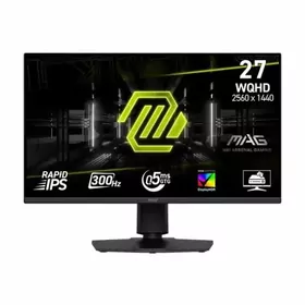 MSI MAG 24.5 300hz Monitor