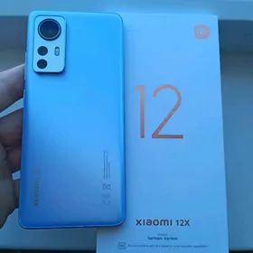 xiaomi 12x