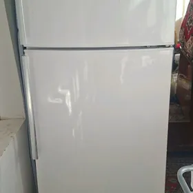 satlyk holodolinik blomberg