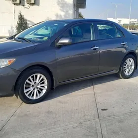 Toyota Corolla 2010