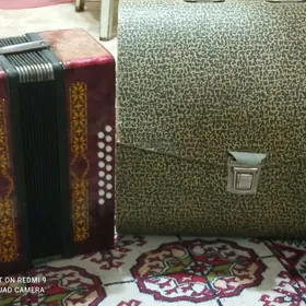 Гармонь "Малыш"