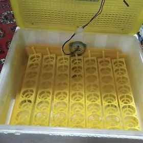 inkubator, инкубатор