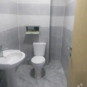 аренда элитга