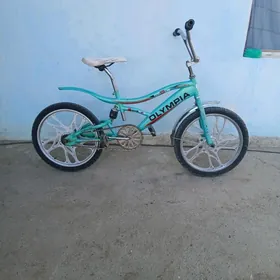 DUGA TİGİR 20 LİK