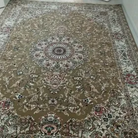 haly 2.5 3.5 iran haly