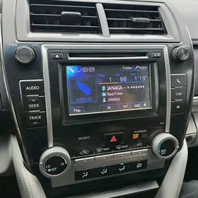 2012 camryn radnoy telewizory