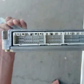 Babycga 2.2 kampiýut