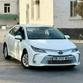 Toyota Corolla Hybrid 2021