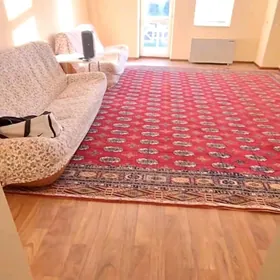 buzmeyin gres elitka