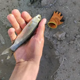 Malýok Малйок