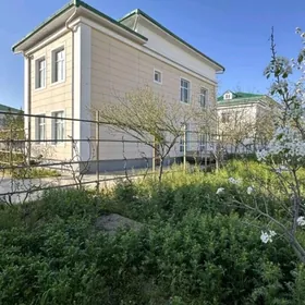 Çoganly çyzgy koteź