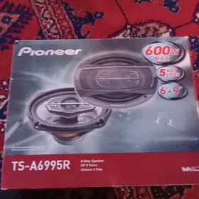 pioner ts6995r