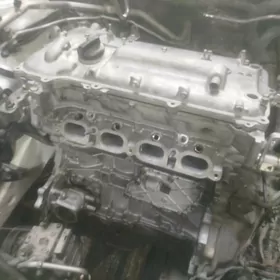 KAROLLA MATOR DIWIGATEL