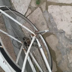 Ýaponskiý welik 27lik