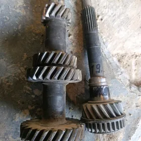 19dis perewni blok sestrini