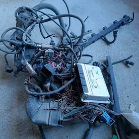 бембе ток кампйтр