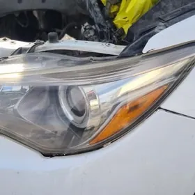 aziyada gylyc fara cep tarap