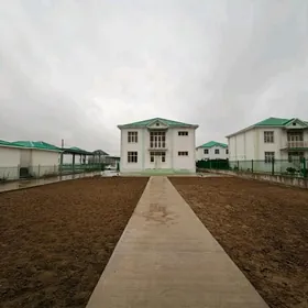 Anew Kotej АНАУ МАХТУМКУЛИ