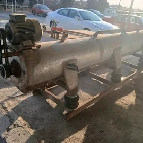 хали скадагон апарад