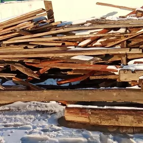 agac pol corny purus