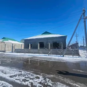 Gämi. Atabaý koçe