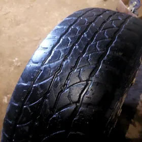 245 65 17 Sailun Terramax