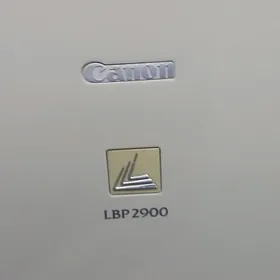 canon 2900