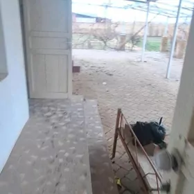 Satlyk planowoý jaý