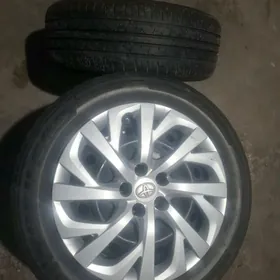 karola diska pakryska 16lyk