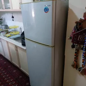 Haladilnik we marazilnik