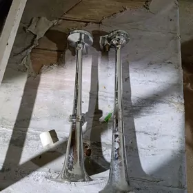 Tuydik signal wozduşny