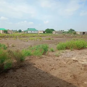 Satlyk jay koneurgenc