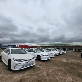Toyota Camry Hybrid 2021