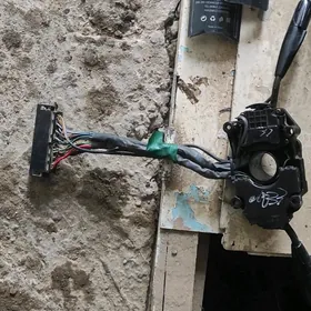 carona şaylarycarona