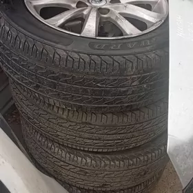 diska pakryska 16 babycka