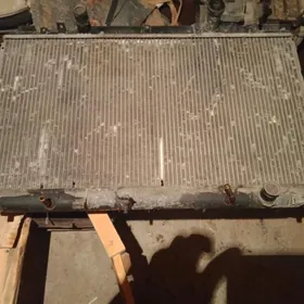 Дуты кемри Радотор