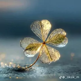 5mkr 2kom  opsy sekcya