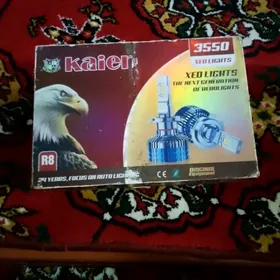 arzan kair lampa 100% arginaly