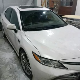 Toyota Camry 2019