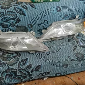 fara okuzkelle cemry